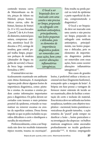37Biópsia de pele: quando, onde e como . Maximizando benefícios
contendo tesoura curva
de Matzembaum ou de
iris, pinças de Adson ou
Halsted, pinças hemos-
táticas curvas, cabo de
bisturi, lâminas de bisturi
(n. 11 e 15), saca bocados
(“punchs”) de 4, 6 e 8 mm
de diâmetro, material para
sutura, compressas esté-
reis, anestésico local (li-
docaína a 2%), seringa de
insulina, gaze estéril, pa-
pel toalha limpo, peque-
nos pedaços de madeira
(abaixador de língua ou
palito de sorvete) e frasco
de boca larga contendo
formalina a 10%3
.
O animal deve ser me-
ticulosamente examinado em ambiente
com ótima iluminação. A manipulação
vigorosa pode alterar algumas lesões de
importância diagnóstica, como: pústu-
las e crostas. As escamas e crostas po-
dem conter informações importantes
para o diagnóstico. Os pelos devem ser
cortados com tesoura o mais próximo
possível da epiderme, evitando-se trau-
matizar ou remover escamas ou cros-
tas da superfície cutânea. Dessa forma
impede-se que os pelos incluídos na pa-
rafina dificultem o corte e danifiquem a
navalha do micrótomo6
.
Preferencialmente, a área a ser biop-
siada não deve ter recebido tratamento
tópico recente, trauma ou escoriação8
.
Esta resulta na perda par-
cial ou total da epiderme
e parte superficial da der-
me, comprometendo o
diagnóstico5
.
O local a ser biopsia-
do deve ser marcado com
uma caneta e não precisa
ser limpo, preparado ou
esfregado com nenhum
antisséptico, principal-
mente, nas lesões peque-
nas e delicadas, pois os
elementos de importân-
cia diagnóstica podem
ser removidos com essas
ações, bem como ocorrer
alterações inflamatórias
iatrogênicas2, 3
.
Nos casos de grandes
lesões, é preferível utilizar a técnica ex-
cisional em fuso (fragmento fusiforme),
avançando após a margem da lesão5
. A
biópsia em fuso possui a vantagem de
fornecer maior extensão de tecido ao
ser examinado, além de facilitar a orien-
tação do corte e inclusão do material.
Essa técnica deve ser utilizada nas lesões
neoplásicas, também com objetivo tera-
pêutico - excisional, lesões pustulosas e
vesiculosas de grande tamanho, - a ação
rotatória do “punch” pode romper ou
danificar a lesão -, lesões paniculares e
na investigação das alopecias - os bulbos
matricais anagênicos estão ancorados
profundamente no tecido gorduroso
panicular1,2,4,6
. A técnica empregando
O local a ser
biopsiado deve ser
marcado com uma
caneta e não precisa
ser limpo, preparado
ou esfregado com
nenhum antisséptico,
principalmente,
nas lesões pequenas
e delicadas, pois
os elementos de
importância
diagnóstica podem
ser removidos com
essas ações, bem como
ocorrer alterações
inflamatórias
iatrogênicas.
 