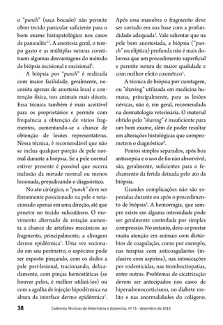 38 Cadernos Técnicos de Veterinária e Zootecnia, nº 71 - dezembro de 2013
o “punch” (saca bocado) não permite
obter tecido panicular suficiente para o
bom exame histopatológico nos casos
de paniculite12
. A anestesia geral, o tem-
po gasto e as múltiplas suturas consti-
tuem algumas desvantagens do método
de biópsia incisional e excisional2
.
A biópsia por “punch” é realizada
com maior facilidade, geralmente, ne-
cessita apenas de anestesia local e con-
tenção física, nos animais mais dóceis.
Essa técnica também é mais aceitável
para os proprietários e permite com
frequência a obtenção de vários frag-
mentos, aumentando-se a chance de
obtenção de lesões representativas.
Nessa técnica, é recomendável que não
se inclua qualquer porção de pele nor-
mal durante a biópsia. Se a pele normal
estiver presente é possível que ocorra
inclusão da metade normal ou menos
lesionada, prejudicando o diagnóstico.
No ato cirúrgico, o “punch” deve ser
firmemente posicionado na pele e rota-
cionado apenas em uma direção, até que
penetre no tecido subcutâneo. O mo-
vimento alternado de rotação aumen-
ta a chance de artefatos mecânicos ao
fragmento, principalmente, a clivagem
dermo epidérmica1
. Uma vez seciona-
do em seu perímetro, o espécime pode
ser exposto pinçando, com os dedos a
pele peri-lesional, tracionando, delica-
damente, com pinças hemostáticas (se
houver pelos, é melhor utilizá-los) ou
com a agulha de injeção hipodérmica na
altura da interface dermo epidérmica1
.
Após essa manobra o fragmento deve
ser cortado em sua base com a profun-
didade adequada3
. Vale salientar que na
pele bem anestesiada, a biópsia (“pun-
ch” ou elíptica) profunda não é mais do-
lorosa que um procedimento superficial
e permite sutura de maior qualidade e
com melhor efeito cosmético5
.
A técnica de biópsia por curetagem,
ou ”shaving” utilizada em medicina hu-
mana, principalmente, para as lesões
névicas, não é, em geral, recomendada
na dermatologia veterinária. O material
obtido pelo “shaving” é insuficiente para
um bom exame, além de poder resultar
em alterações histológicas que compro-
metem o diagnóstico6
.
Pontos simples separados, após boa
antissepsia e o uso de fio não absorvível,
são, geralmente, suficientes para o fe-
chamento da ferida deixada pelo ato da
biópsia.
Grandes complicações não são es-
peradas durante ou após o procedimen-
to de biópsia3
. A hemorragia, que sem-
pre existe em alguma intensidade pode
ser geralmente controlada por simples
compressão.Noentanto,deve-seprestar
muita atenção em animais com distúr-
bios de coagulação, como por exemplo,
nas terapias com anticoagulantes (in-
clusive com aspirina), nas intoxicações
por rodenticidas, nas trombocitopatias,
entre outras. Problemas de cicatrização
devem ser antecipados nos casos de
hiperadrenocorticismo, no diabete me-
lito e nas anormalidades do colágeno.
 
