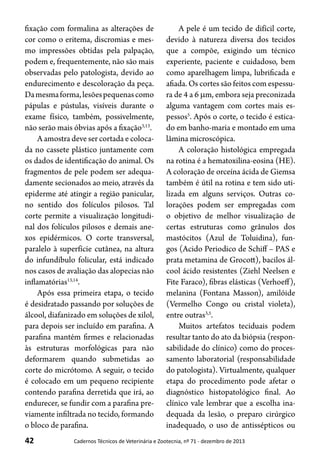 42 Cadernos Técnicos de Veterinária e Zootecnia, nº 71 - dezembro de 2013
fixação com formalina as alterações de
cor como o eritema, discromias e mes-
mo impressões obtidas pela palpação,
podem e, frequentemente, não são mais
observadas pelo patologista, devido ao
endurecimento e descoloração da peça.
Damesmaforma,lesõespequenascomo
pápulas e pústulas, visíveis durante o
exame físico, também, possivelmente,
não serão mais óbvias após a fixação3,13
.
A amostra deve ser cortada e coloca-
da no cassete plástico juntamente com
os dados de identificação do animal. Os
fragmentos de pele podem ser adequa-
damente secionados ao meio, através da
epiderme até atingir a região panicular,
no sentido dos folículos pilosos. Tal
corte permite a visualização longitudi-
nal dos folículos pilosos e demais ane-
xos epidérmicos. O corte transversal,
paralelo à superfície cutânea, na altura
do infundíbulo folicular, está indicado
nos casos de avaliação das alopecias não
inflamatórias13,14
.
Após essa primeira etapa, o tecido
é desidratado passando por soluções de
álcool, diafanizado em soluções de xilol,
para depois ser incluído em parafina. A
parafina mantém firmes e relacionadas
às estruturas morfológicas para não
deformarem quando submetidas ao
corte do micrótomo. A seguir, o tecido
é colocado em um pequeno recipiente
contendo parafina derretida que irá, ao
endurecer, se fundir com a parafina pre-
viamente infiltrada no tecido, formando
o bloco de parafina.
A pele é um tecido de difícil corte,
devido à natureza diversa dos tecidos
que a compõe, exigindo um técnico
experiente, paciente e cuidadoso, bem
como aparelhagem limpa, lubrificada e
afiada. Os cortes são feitos com espessu-
ra de 4 a 6 mm, embora seja preconizada
alguma vantagem com cortes mais es-
pessos5
. Após o corte, o tecido é estica-
do em banho-maria e montado em uma
lâmina microscópica.
A coloração histológica empregada
na rotina é a hematoxilina-eosina (HE).
A coloração de orceína ácida de Giemsa
também é útil na rotina e tem sido uti-
lizada em alguns serviços. Outras co-
lorações podem ser empregadas com
o objetivo de melhor visualização de
certas estruturas como grânulos dos
mastócitos (Azul de Toluidina), fun-
gos (Acido Periodico de Schiff – PAS e
prata metamina de Grocott), bacilos ál-
cool ácido resistentes (Ziehl Neelsen e
Fite Faraco), fibras elásticas (Verhoeff),
melanina (Fontana Masson), amilóide
(Vermelho Congo ou cristal violeta),
entre outras3,5
.
Muitos artefatos teciduais podem
resultar tanto do ato da biópsia (respon-
sabilidade do clínico) como do proces-
samento laboratorial (responsabilidade
do patologista). Virtualmente, qualquer
etapa do procedimento pode afetar o
diagnóstico histopatológico final. Ao
clínico vale lembrar que a escolha ina-
dequada da lesão, o preparo cirúrgico
inadequado, o uso de antissépticos ou
 