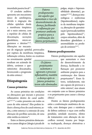 56 Cadernos Técnicos de Veterinária e Zootecnia, nº 71 - dezembro de 2013
imunidade passiva local1,7
.
O conduto auditivo
apresenta um mecanismo
único de autolimpeza,
devido à migração das
células epiteliais desde
a membrana timpânica
até o meio externo, com
a expulsão de células de
descamação, secreções
glandulares, micro-or-
ganismos e detritos7,8,10
.
Alterações no mecanis-
mo de migração epitelial, provocados
por ruptura da membrana timpânica,
inflamação crônica, lesões ou cicatrizes
no revestimento epitelial
resultam em acúmulo de
debris, cerúmen e que-
ratinócitos descamados,
favorecendo a progressão
da otite crônica1
.
Etiopatogenia
Causas primárias
As causas primárias são condições
ou alteraçãoes que iniciam o processo
inflamatório dentro do canal auditi-
vo4,5,6,7,10
e estão presentes em todos os
casos de otite externa9
. Eles podem in-
duzir a doença fora do canal externo, as-
sim, a otite externa é a extensão de uma
alteração do pavilhão auricular, de uma
otite média ou interna10
.
Entre os fatores primários destacam-
-se as causas alérgicas (alergia à picada de
pulgas, atopia e hipersen-
sibilidade alimentar), pa-
rasitas2,6,7,9,10
, doenças imu-
nológicas e endócrinas
(hipotireoidismo), ruptu-
ra da membrana timpâni-
ca, alterações de queratini-
zação (provocada também
pelo hipotireodismo)2,7
,
corpos estranhos, além de
desordens glandulares e
anormalidades na produ-
ção de cerúmen2,4,13
.
Fatores predisponentes
Fatores predisponentes são aqueles
que aumentam o risco
do desenvolvimento da
doença, facilitando a in-
flamação por promover
ambiente propício para a
continuação dos fatores
perpetuantes10
. Esses fa-
tores, isoladamente, não
são capazes de provocar a
otite externa9
, mas atuam
em conjunto com os fatores primários
e os perpetuantes para causar a doença
clínica7
.
Dentre os fatores predisponentes
estão a conformação anatômica do ou-
vido, com destaque para a existência
de dobras cutâneas e raças com orelha
pendular, umidade excessiva, efeitos
de tratamentos com alteração da mi-
croflora normal, trauma por limpe-
za inadequada, doenças obstrutivas e
Fatores
predisponentes
são aqueles que
aumentam o risco do
desenvolvimento da
doença, facilitando
a inflamação por
promover ambiente
propício para a
continuação dos
fatores perpetuantes.
Os fatores
perpetuantes
sustentam e
agravam o processo
inflamatório, mantêm
a doença após os
fatores primários
terem sido eliminados.
 
