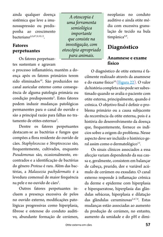 57Otite externa em cães
ainda qualquer doença
sistêmica que leve a imu-
nossupressão ou predis-
ponha ao crescimento
bacteriano4,5,67,9,10,13
.
Fatores
perpetuantes
Os fatores perpetuan-
tes sustentam e agravam
o processo inflamatório, mantêm a do-
ença após os fatores primários terem
sido eliminados10
. São produzidos no
canal auricular externo como consequ-
ência de alguma patologia primária ou
condição predisponente5
. Estes fatores
podem induzir mudanças patológicas
permanentes para o canal do ouvido e
são a principal razão para falhas no tra-
tamento de otites externas2
.
Dentre os fatores perpetuantes
destacam-se as bactérias e fungos que
compões a flora residente do ouvido de
cães. Staphylococcus e Streptococcus são,
frequentemente, cultivados, enquanto
Pseudomonas são, ocasionalmente, en-
contrados e a identificação de bactérias
do gênero Proteus é rara. Além das bac-
térias, a Malassezia pachydermatis é a
levedura comensal de maior frequência
na pele e no ouvido de cães2
.
Outros fatores perpetuantes in-
cluem a presença excessiva de pelos
no ouvido externo, modificações pato-
lógicas progressivas como hiperplasia,
fibrose e estenose do conduto auditi-
vo, abundante formação de cerúmen,
neoplasias no conduto
auditivo e ainda otite mé-
dia com excessiva granu-
lação de tecido na bula
timpânica4,9
.
Diagnóstico
Anamnese e exame
físico
O diagnóstico de otite externa é fa-
cilmente realizado através da anamnese
e do exame físico10
(Figura 22). O valor
dahistóriacompletanãopodesersubes-
timado quando se avalia o paciente com
otite externa, principalmente, quando é
crônica. O objetivo final é definir o pro-
blema primário ou a causa subjacente
da recorrência da otite externa, pois é a
história do desenvolvimento da doença
que, frequentemente, fornece os indí-
cios sobre a origem do problema. Nesse
aspecto deve ser incluído o histórico ge-
ral assim como o dermatológico13
.
Os sinais clínicos associados a essa
afecção variam dependendo da sua cau-
sa e, geralmente, consistem em balançar
de cabeça, prurido, dor e variável acú-
mulo de cerúmen ou exsudato. O canal
externo responde à inflamação crônica
da derme e epiderme com hiperplasia
e hiperqueratose, hiperplasia das glân-
dulas sebáceas, hiperplasia e dilatação
das glândulas ceruminosas2,4,7,8
. Estas
mudanças estão associadas ao aumento
da produção de cerúmen, no entanto,
aumento da umidade e do pH e dimi-
A otoscopia é
uma ferramenta
semiológica
importante
que consiste na
investigação, com
otoscópio apropriado
para animais.
 