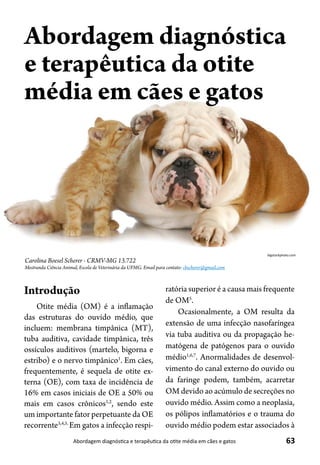 63Abordagem diagnóstica e terapêutica da otite média em cães e gatos
Carolina Boesel Scherer - CRMV-MG 13.722
Mestranda Ciência Animal, Escola de Veterinária da UFMG. Email para contato: cbscherer@gmail.com
Abordagem diagnóstica
e terapêutica da otite
média em cães e gatos
Introdução
Otite média (OM) é a inflamação
das estruturas do ouvido médio, que
incluem: membrana timpânica (MT),
tuba auditiva, cavidade timpânica, três
ossículos auditivos (martelo, bigorna e
estribo) e o nervo timpânico1
. Em cães,
frequentemente, é sequela de otite ex-
terna (OE), com taxa de incidência de
16% em casos iniciais de OE a 50% ou
mais em casos crônicos1,2
, sendo este
um importante fator perpetuante da OE
recorrente3,4,5.
Em gatos a infecção respi-
ratória superior é a causa mais frequente
de OM5
.
Ocasionalmente, a OM resulta da
extensão de uma infecção nasofaríngea
via tuba auditiva ou da propagação he-
matógena de patógenos para o ouvido
médio1,6,7
. Anormalidades de desenvol-
vimento do canal externo do ouvido ou
da faringe podem, também, acarretar
OM devido ao acúmulo de secreções no
ouvido médio. Assim como a neoplasia,
os pólipos inflamatórios e o trauma do
ouvido médio podem estar associados à
bigstockphoto.com
 