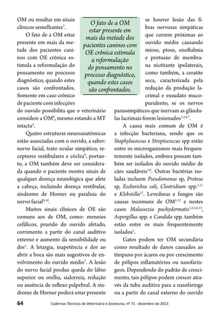 64 Cadernos Técnicos de Veterinária e Zootecnia, nº 71 - dezembro de 2013
OM ou resultar em sinais
clínicos semelhantes7
.
O fato de a OM estar
presente em mais da me-
tade dos pacientes cani-
nos com OE crônica es-
timula a reformulação do
pensamento no processo
diagnóstico, quando estes
casos são confrontados.
Somente em caso crônico
de paciente com infecções
do ouvido possibilita que o veterinário
considere a OM8
, mesmo estando a MT
intacta4
.
Quatro estruturas neuroanatômicas
estão associadas com o ouvido, a saber:
nervo facial, trato ocular simpático, re-
ceptores vestibulares e cóclea9
, portan-
to, a OM também deve ser considera-
da quando o paciente mostra sinais de
qualquer doença neurológica que afete
a cabeça, incluindo doença vestibular,
síndrome de Horner ou paralisia do
nervo facial8,10
.
Muitos sinais clínicos de OE são
comuns aos de OM, como: meneios
cefálicos, prurido do ouvido afetado,
corrimento a partir do canal auditivo
externo e aumento da sensibilidade ou
dor1
. A letargia, inapetência e dor ao
abrir a boca são mais sugestivos de en-
volvimento do ouvido médio7
. A lesão
do nervo facial produz queda do lábio
superior ou orelha, sialorreia, redução
ou ausência de reflexo palpebral. A sín-
drome de Horner poderá estar presente
se houver lesão das fi-
bras nervosas simpáticas
que correm próximas ao
ouvido médio causando
miose, ptose, enoftalmia
e protusão de membra-
na nictitante ipsilaterais,
como também, a ceratite
seca, caracterizada pela
redução da produção la-
crimal e exsudato muco-
purulento, se os nervos
parassimpáticos que inervam as glându-
las lacrimais forem lesionados1,3,4,7
.
A causa mais comum de OM é
a infecção bacteriana, sendo que os
Staphylococcus e Streptococcus spp estão
entre os microrganismos mais frequen-
temente isolados, embora possam tam-
bém ser isolados do ouvido médio de
cães saudáveis1,6
. Outras bactérias iso-
ladas incluem Pseudomonas sp, Proteus
sp, Escherichia coli, Clostridium spp.1,11
e Klebsiella12
. Leveduras e fungos são
causas incomuns de OM1,12
e nestes
casos Malassezia pachydermatis1,2,3,4,13
,
Aspergillus spp. e Candida spp. também
estão entre os mais frequentemente
isolados1
.
Gatos podem ter OM secundária
como resultado de danos causados ao
tímpano por ácaros ou por crescimento
de pólipos inflamatórios ou nasofarín-
geos. Dependendo do padrão de cresci-
mento, tais pólipos podem crescer atra-
vés da tuba auditiva para a nasofaringe
ou a partir do canal externo do ouvido
O fato de a OM
estar presente em
mais da metade dos
pacientes caninos com
OE crônica estimula
a reformulação
do pensamento no
processo diagnóstico,
quando estes casos
são confrontados.
 