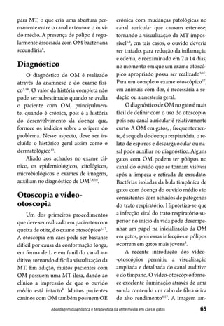 65Abordagem diagnóstica e terapêutica da otite média em cães e gatos
para MT, o que cria uma abertura per-
manente entre o canal externo e o ouvi-
do médio. A presença de pólipo é regu-
larmente associada com OM bacteriana
secundária8
.
Diagnóstico
O diagnóstico de OM é realizado
através da anamnese e do exame físi-
co5,14
. O valor da história completa não
pode ser subestimado quando se avalia
o paciente com OM, principalmen-
te, quando é crônica, pois é a história
do desenvolvimento da doença que,
fornece os indícios sobre a origem do
problema. Nesse aspecto, deve ser in-
cluído o histórico geral assim como o
dermatológico15
.
Aliado aos achados no exame clí-
nico, os epidemiológicos, citológicos,
microbiológicos e exames de imagens,
auxiliam no diagnóstico de OM7,8,16
.
Otoscopia e vídeo-
otoscopia
Um dos primeiros procedimentos
quedeveserrealizadoempacientescom
queixadeotite,éoexameotoscópico5,17
.
A otoscopia em cães pode ser bastante
difícil por causa da conformação longa,
em forma de L e em funil do canal au-
ditivo, tornando difícil a visualização da
MT. Em adição, muitos pacientes com
OM possuem uma MT ilesa, dando ao
clínico a impressão de que o ouvido
médio está intacto8
. Muitos pacientes
caninos com OM também possuem OE
crônica com mudanças patológicas no
canal auricular que causam estenose,
tornando a visualização da MT impos-
sível5,8
, em tais casos, o ouvido deveria
ser tratado, para redução da inflamação
e edema, e reexaminado em 7 a 14 dias,
no momento em que um exame otoscó-
pico apropriado possa ser realizado5,17
.
Para um completo exame otoscópico17
,
em animais com dor, é necessária a se-
dação ou a anestesia geral.
OdiagnósticodeOMnogatoémais
fácil de definir com o uso do otoscópio,
pois seu canal auricular é relativamente
curto. A OM em gatos, , frequentemen-
te, é sequela de doença respiratória, o re-
lato de espirros e descarga ocular ou na-
sal pode auxiliar no diagnóstico. Alguns
gatos com OM podem ter pólipos no
canal do ouvido que se tornam visíveis
após a limpeza e retirada de exsudato.
Bactérias isoladas da bula timpânica de
gatos com doença do ouvido médio são
consistentes com achados de patógenos
do trato respiratório. Hipotetiza-se que
a infecção viral do trato respiratório su-
perior no início da vida pode desempe-
nhar um papel na inicialização da OM
em gatos, pois essas infecções e pólipos
ocorrem em gatos mais jovens8
.
A recente introdução dos vídeo-
-otoscópios permitiu a visualização
ampliada e detalhada do canal auditivo
e do tímpano. O vídeo-otoscópio forne-
ce excelente iluminação através de uma
sonda contendo um cabo de fibra ótica
de alto rendimento8,17
. A imagem am-
 