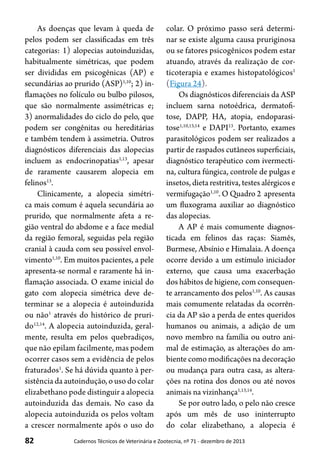 82 Cadernos Técnicos de Veterinária e Zootecnia, nº 71 - dezembro de 2013
As doenças que levam à queda de
pelos podem ser classificadas em três
categorias: 1) alopecias autoinduzidas,
habitualmente simétricas, que podem
ser divididas em psicogênicas (AP) e
secundárias ao prurido (ASP)1,10
; 2) in-
flamações no folículo ou bulbo pilosos,
que são normalmente assimétricas e;
3) anormalidades do ciclo do pelo, que
podem ser congênitas ou hereditárias
e também tendem à assimetria. Outros
diagnósticos diferenciais das alopecias
incluem as endocrinopatias1,13
, apesar
de raramente causarem alopecia em
felinos13
.
Clinicamente, a alopecia simétri-
ca mais comum é aquela secundária ao
prurido, que normalmente afeta a re-
gião ventral do abdome e a face medial
da região femoral, seguidas pela região
cranial à cauda com seu possível envol-
vimento1,10
. Em muitos pacientes, a pele
apresenta-se normal e raramente há in-
flamação associada. O exame inicial do
gato com alopecia simétrica deve de-
terminar se a alopecia é autoinduzida
ou não1
através do histórico de pruri-
do12,14
. A alopecia autoinduzida, geral-
mente, resulta em pelos quebradiços,
que não epilam facilmente, mas podem
ocorrer casos sem a evidência de pelos
fraturados1
. Se há dúvida quanto à per-
sistência da autoindução, o uso do colar
elizabethano pode distinguir a alopecia
autoinduzida das demais. No caso da
alopecia autoinduzida os pelos voltam
a crescer normalmente após o uso do
colar. O próximo passo será determi-
nar se existe alguma causa pruriginosa
ou se fatores psicogênicos podem estar
atuando, através da realização de cor-
ticoterapia e exames histopatológicos1
(Figura 24).
Os diagnósticos diferenciais da ASP
incluem sarna notoédrica, dermatofi-
tose, DAPP, HA, atopia, endoparasi-
tose1,10,13,14
e DAPI13
. Portanto, exames
parasitológicos podem ser realizados a
partir de raspados cutâneos superficiais,
diagnóstico terapêutico com ivermecti-
na, cultura fúngica, controle de pulgas e
insetos, dieta restritiva, testes alérgicos e
vermifugação1,10
. O Quadro 2 apresenta
um fluxograma auxiliar ao diagnóstico
das alopecias.
A AP é mais comumente diagnos-
ticada em felinos das raças: Siamês,
Burmese, Absínio e Himalaia. A doença
ocorre devido a um estímulo iniciador
externo, que causa uma exacerbação
dos hábitos de higiene, com consequen-
te arrancamento dos pelos1,10
. As causas
mais comumente relatadas da ocorrên-
cia da AP são a perda de entes queridos
humanos ou animais, a adição de um
novo membro na família ou outro ani-
mal de estimação, as alterações do am-
biente como modificações na decoração
ou mudança para outra casa, as altera-
ções na rotina dos donos ou até novos
animais na vizinhança1,13,14
.
Se por outro lado, o pelo não cresce
após um mês de uso ininterrupto
do colar elizabethano, a alopecia é
 
