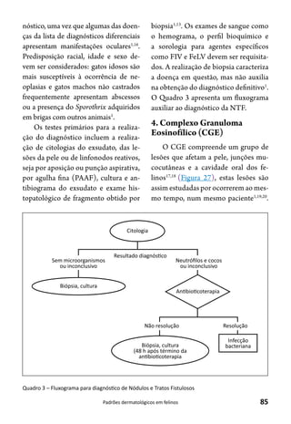 85Padrões dermatológicos em felinos
nóstico, uma vez que algumas das doen-
ças da lista de diagnósticos diferenciais
apresentam manifestações oculares1,16
.
Predisposição racial, idade e sexo de-
vem ser considerados: gatos idosos são
mais susceptíveis à ocorrência de ne-
oplasias e gatos machos não castrados
frequentemente apresentam abscessos
ou a presença do Sporothrix adquiridos
em brigas com outros animais1
.
Os testes primários para a realiza-
ção do diagnóstico incluem a realiza-
ção de citologias do exsudato, das le-
sões da pele ou de linfonodos reativos,
seja por aposição ou punção aspirativa,
por agulha fina (PAAF), cultura e an-
tibiograma do exsudato e exame his-
topatológico de fragmento obtido por
biopsia1,13
. Os exames de sangue como
o hemograma, o perfil bioquímico e
a sorologia para agentes específicos
como FIV e FeLV devem ser requisita-
dos. A realização de biopsia caracteriza
a doença em questão, mas não auxilia
na obtenção do diagnóstico definitivo1
.
O Quadro 3 apresenta um fluxograma
auxiliar ao diagnóstico da NTF.
4. Complexo Granuloma
Eosinofílico (CGE)
O CGE compreende um grupo de
lesões que afetam a pele, junções mu-
cocutâneas e a cavidade oral dos fe-
linos17,18
(Figura 27), estas lesões são
assim estudadas por ocorrerem ao mes-
mo tempo, num mesmo paciente1,19,20
.
Quadro 3 – Fluxograma para diagnóstico de Nódulos e Tratos Fistulosos
Citologia
Resultado diagnósƟco
Biópsia, cultura
AnƟbioƟcoterapia
Não resolução Resolução
Infecção
bacteriana
Sem microorganismos
ou inconclusivo
Neutróﬁlos e cocos
ou inconclusivo
Biópsia, cultura
(48 h após término da
anƟbioƟcoterapia
 