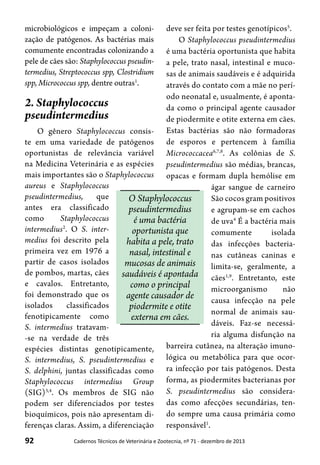92 Cadernos Técnicos de Veterinária e Zootecnia, nº 71 - dezembro de 2013
O Staphylococcus
pseudintermedius
é uma bactéria
oportunista que
habita a pele, trato
nasal, intestinal e
mucosas de animais
saudáveis é apontada
como o principal
agente causador de
piodermite e otite
externa em cães.
microbiológicos e impeçam a coloni-
zação de patógenos. As bactérias mais
comumente encontradas colonizando a
pele de cães são: Staphylococcus pseudin-
termedius, Streptococcus spp, Clostridium
spp, Micrococcus spp, dentre outras1
.
2. Staphylococcus
pseudintermedius
O gênero Staphylococcus consis-
te em uma variedade de patógenos
oportunistas de relevância variável
na Medicina Veterinária e as espécies
mais importantes são o Staphylococcus
aureus e Staphylococcus
pseudintermedius, que
antes era classificado
como Staphylococcus
intermedius2
. O S. inter-
medius foi descrito pela
primeira vez em 1976 a
partir de casos isolados
de pombos, martas, cães
e cavalos. Entretanto,
foi demonstrado que os
isolados classificados
fenotipicamente como
S. intermedius tratavam-
-se na verdade de três
espécies distintas genotipicamente,
S. intermedius, S. pseudintermedius e
S. delphini, juntas classificadas como
Staphylococcus intermedius Group
(SIG)3,4
. Os membros de SIG não
podem ser diferenciados por testes
bioquímicos, pois não apresentam di-
ferenças claras. Assim, a diferenciação
deve ser feita por testes genotípicos5
.
O Staphylococcus pseudintermedius
é uma bactéria oportunista que habita
a pele, trato nasal, intestinal e muco-
sas de animais saudáveis e é adquirida
através do contato com a mãe no perí-
odo neonatal e, usualmente, é aponta-
da como o principal agente causador
de piodermite e otite externa em cães.
Estas bactérias são não formadoras
de esporos e pertencem à família
Micrococcacea6,7,8
. As colônias de S.
pseudintermedius são médias, brancas,
opacas e formam dupla hemólise em
ágar sangue de carneiro
São cocos gram positivos
e agrupam-se em cachos
de uva4
É a bactéria mais
comumente isolada
das infecções bacteria-
nas cutâneas caninas e
limita-se, geralmente, a
cães1,9
. Entretanto, este
microorganismo não
causa infecção na pele
normal de animais sau-
dáveis. Faz-se necessá-
ria alguma disfunção na
barreira cutânea, na alteração imuno-
lógica ou metabólica para que ocor-
ra infecção por tais patógenos. Desta
forma, as piodermites bacterianas por
S. pseudintermedius são considera-
das como afecções secundárias, ten-
do sempre uma causa primária como
responsável1
.
 
