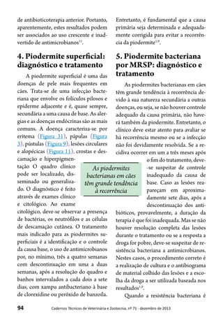 94 Cadernos Técnicos de Veterinária e Zootecnia, nº 71 - dezembro de 2013
de antibioticoterapia anterior. Portanto,
aparentemente, estes resultados podem
ser associados ao uso crescente e inad-
vertido de antimicrobianos11
.
4. Piodermite superficial:
diagnóstico e tratamento
A piodermite superficial é uma das
doenças de pele mais frequentes em
cães. Trata-se de uma infecção bacte-
riana que envolve os folículos pilosos e
epiderme adjacente e é, quase sempre,
secundária a uma causa de base. As aler-
gias e as doenças endócrinas são as mais
comuns. A doença caracteriza-se por
eritema (Figura 31), pápulas (Figura
3), pústulas (Figura 9), lesões circulares
e alopécicas (Figura 11), crostas e des-
camação e hiperpigmen-
tação O quadro clínico
pode ser localizado, dis-
seminado ou generaliza-
do. O diagnóstico é feito
através de exames clínico
e citológico. Ao exame
citológico, deve-se observar a presença
de bactérias, os neutrófilos e as células
de descamação cutânea. O tratamento
mais indicado para as piodermites su-
perficiais é a identificação e o controle
da causa base, o uso de antimicrobianos
por, no mínimo, três a quatro semanas
com descontinuação em uma a duas
semanas, após a resolução do quadro e
banhos intervalados a cada dois a sete
dias, com xampu antibacteriano à base
de clorexidine ou peróxido de banzoíla.
Entretanto, é fundamental que a causa
primária seja determinada e adequada-
mente corrigida para evitar a recorrên-
cia da piodermite1,9
.
5. Piodermite bacteriana
por MRSP: diagnóstico e
tratamento
As piodermites bacterianas em cães
têm grande tendência à recorrência de-
vido à sua natureza secundária a outras
doenças, ou seja, se não houver controle
adequado da causa primária, não have-
rá também da piodermite. Entretanto, o
clínico deve estar atento para avaliar se
há recorrência mesmo ou se a infecção
não foi devidamente resolvida. Se a re-
cidiva ocorrer em um a três meses após
o fim do tratamento, deve-
-se suspeitar de controle
inadequado da causa de
base. Caso as lesões rea-
pareçam em aproxima-
damente sete dias, após a
descontinuação dos anti-
bióticos, provavelmente, a duração da
terapia é que foi inadequada. Mas se não
houver resolução completa das lesões
durante o tratamento ou se a resposta a
droga for pobre, deve-se suspeitar de re-
sistência bacteriana a antimicrobianos.
Nestes casos, o procedimento correto é
a realização de cultura e o antibiograma
de material colhido das lesões e a esco-
lha da droga a ser utilizada baseada nos
resultados1,9
.
Quando a resistência bacteriana é
As piodermites
bacterianas em cães
têm grande tendência
à recorrência
 