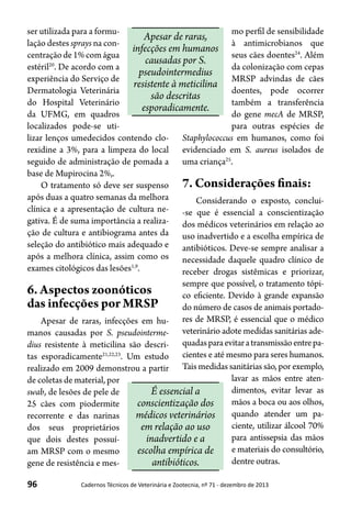 96 Cadernos Técnicos de Veterinária e Zootecnia, nº 71 - dezembro de 2013
ser utilizada para a formu-
lação destes sprays na con-
centraçãode1%comágua
estéril20
. De acordo com a
experiência do Serviço de
Dermatologia Veterinária
do Hospital Veterinário
da UFMG, em quadros
localizados pode-se uti-
lizar lenços umedecidos contendo clo-
rexidine a 3%, para a limpeza do local
seguido de administração de pomada a
base de Mupirocina 2%,.
O tratamento só deve ser suspenso
após duas a quatro semanas da melhora
clínica e a apresentação de cultura ne-
gativa. É de suma importância a realiza-
ção de cultura e antibiograma antes da
seleção do antibiótico mais adequado e
após a melhora clínica, assim como os
exames citológicos das lesões1,9
.
6. Aspectos zoonóticos
das infecções por MRSP
Apesar de raras, infecções em hu-
manos causadas por S. pseudointerme-
dius resistente à meticilina são descri-
tas esporadicamente21,22,23
. Um estudo
realizado em 2009 demonstrou a partir
de coletas de material, por
swab, de lesões de pele de
25 cães com piodermite
recorrente e das narinas
dos seus proprietários
que dois destes possuí-
am MRSP com o mesmo
gene de resistência e mes-
mo perfil de sensibilidade
à antimicrobianos que
seus cães doentes24
. Além
da colonização com cepas
MRSP advindas de cães
doentes, pode ocorrer
também a transferência
do gene mecA de MRSP,
para outras espécies de
Staphylococcus em humanos, como foi
evidenciado em S. aureus isolados de
uma criança25
.
7. Considerações finais:
Considerando o exposto, conclui-
-se que é essencial a conscientização
dos médicos veterinários em relação ao
uso inadvertido e a escolha empírica de
antibióticos. Deve-se sempre analisar a
necessidade daquele quadro clínico de
receber drogas sistêmicas e priorizar,
sempre que possível, o tratamento tópi-
co eficiente. Devido à grande expansão
do número de casos de animais portado-
res de MRSP, é essencial que o médico
veterinário adote medidas sanitárias ade-
quadasparaevitaratransmissãoentrepa-
cientes e até mesmo para seres humanos.
Tais medidas sanitárias são, por exemplo,
lavar as mãos entre aten-
dimentos, evitar levar as
mãos a boca ou aos olhos,
quando atender um pa-
ciente, utilizar álcool 70%
para antissepsia das mãos
e materiais do consultório,
dentre outras.
Apesar de raras,
infecções em humanos
causadas por S.
pseudointermedius
resistente à meticilina
são descritas
esporadicamente.
É essencial a
conscientização dos
médicos veterinários
em relação ao uso
inadvertido e a
escolha empírica de
antibióticos.
 