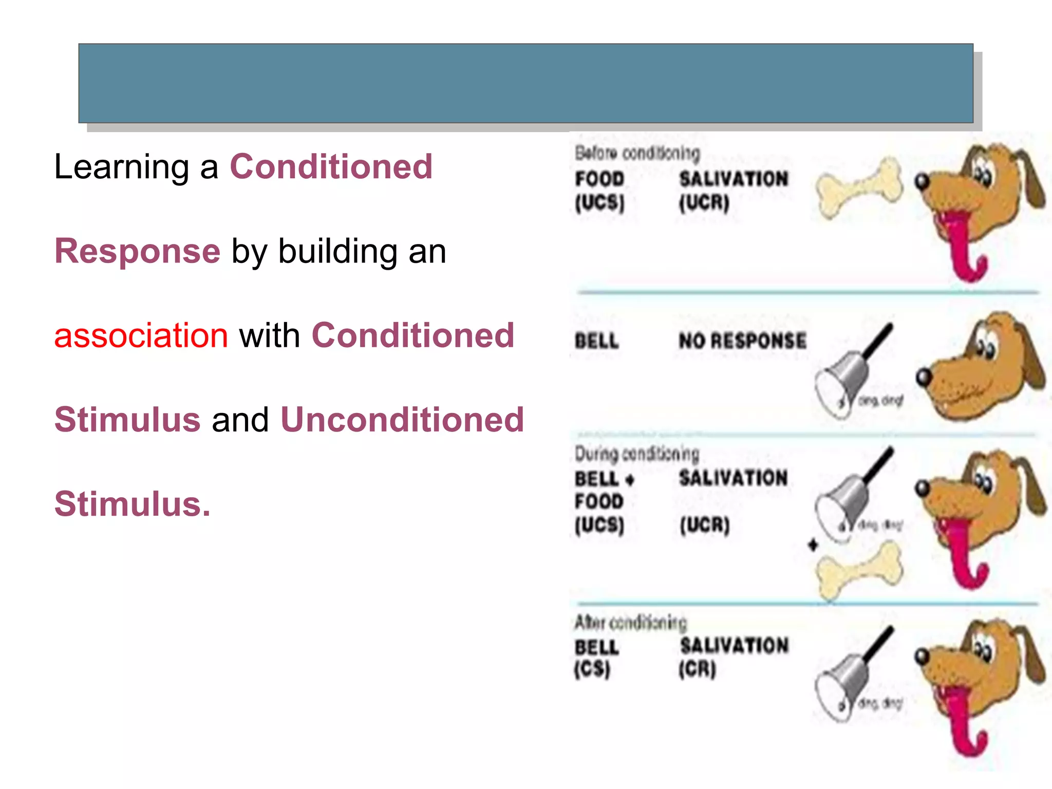 Learning a Conditioned
Response by building an
association with Conditioned
Stimulus and Unconditioned
Stimulus.
 