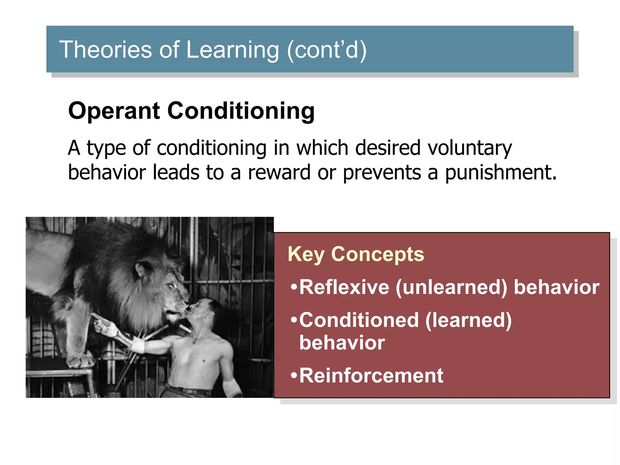 Theories of Learning (cont’d)
Key Concepts
•Reflexive (unlearned) behavior
•Conditioned (learned)
behavior
•Reinforcement
Operant Conditioning
A type of conditioning in which desired voluntary
behavior leads to a reward or prevents a punishment.
 