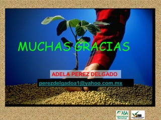 MUCHAS GRACIAS

      ADELA PEREZ DELGADO
  perezdelgadoa1@yahoo.com.mx
 