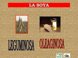 LA SOYA
 