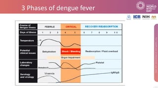 3 Phases of dengue fever
 