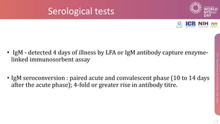 Serological tests
• IgM - detected 4 days of illness by LFA or IgM antibody capture enzyme-
linked immunosorbent assay
• IgM seroconversion : paired acute and convalescent phase (10 to 14 days
after the acute phase); 4-fold or greater rise in antibody titre.
 