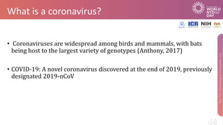 What is a coronavirus?
• Coronaviruses are widespread among birds and mammals, with bats
being host to the largest variety of genotypes (Anthony, 2017)
• COVID-19: A novel coronavirus discovered at the end of 2019, previously
designated 2019-nCoV
 
