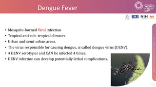 Dengue Fever
• Mosquito-borned Viral infection
• Tropical and sub- tropical climates
• Urban and semi-urban areas.
• The virus responsible for causing dengue, is called dengue virus (DENV).
• 4 DENV serotypes and CAN be infected 4 times.
• DENV infection can develop potentially lethal complications.
 