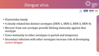 Dengue virus
• Flaviviridae family
• 4 closely related but distinct serotypes (DEN-1, DEN-2, DEN-3, DEN-4)
• Recover from one serotype provide lifelong immunity against that
serotype
• Cross immunity to other serotypes is partial and temporary
• Secondary infection with other serotypes increase risk of developing
severe dengue
 