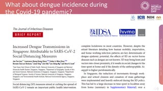What about dengue incidence during
the Covid-19 pandemic?
 
