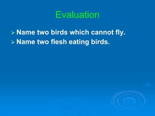 Evaluation
⮚ Name two birds which cannot fly.
⮚ Name two flesh eating birds.
 