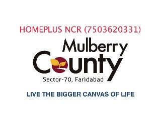 MULBERRY COUNTY -near to IMT FARIDABAD