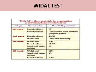 WIDAL TEST
 
