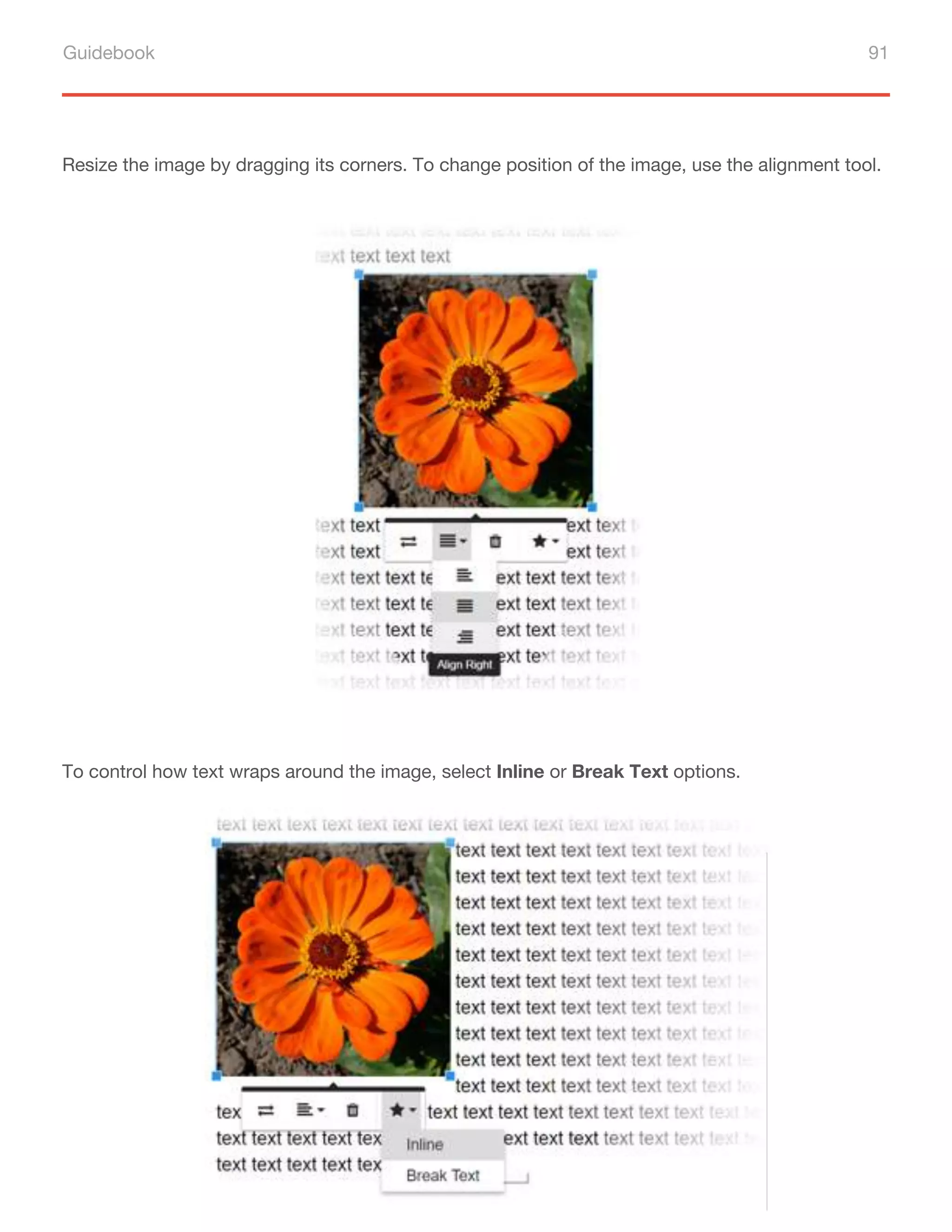 Guidebook 91
Resize the image by dragging its corners. To change position of the image, use the alignment tool.
To control how text wraps around the image, select Inline or Break Text options.
 