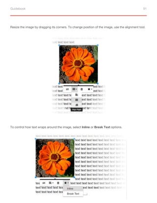 Guidebook 91
Resize the image by dragging its corners. To change position of the image, use the alignment tool.
To control how text wraps around the image, select Inline or Break Text options.
 