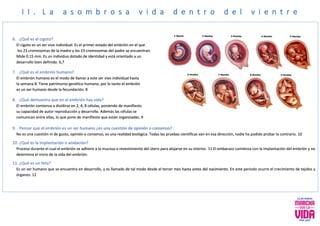 I I . L a a s o m b r o s a v i d a d e n t r o d e l v i e n t r e
6. ¿Qué es el cigoto?
El cigoto es un ser vivo individual. Es el primer estado del embrión en el que
los 23 cromosomas de la madre y los 23 cromosomas del padre se encuentran.
Mide 0.15 mm. Es un individuo dotado de identidad y está orientado a un
desarrollo bien definido. 6,7
7. ¿Qué es el embrión humano?
El embrión humano es el modo de llamar a este ser vivo individual hasta
la semana 8. Tiene patrimonio genético humano; por lo tanto el embrión
es un ser humano desde la fecundación. 8
8. ¿Qué demuestra que en el embrión hay vida?
El embrión comienza a dividirse en 2, 4, 8 células, poniendo de manifiesto
su capacidad de autor reproducción y desarrollo. Además las células se
comunican entre ellas, lo que pone de manifiesto que están organizadas. 9
9. Pensar que el embrión es un ser humano ¿es una cuestión de opinión o consenso?
No es una cuestión ni de gusto, opinión o consenso, es una realidad biológica. Todas las pruebas científicas van en esa dirección, nadie ha podido probar lo contrario. 10
10. ¿Qué es la implantación o anidación?
Proceso durante el cual el embrión se adhiere a la mucosa o revestimiento del útero para alojarse en su interior. 11 El embarazo comienza con la implantación del embrión y no
determina el inicio de la vida del embrión.
11. ¿Qué es un feto?
Es un ser humano que se encuentra en desarrollo, y es llamado de tal modo desde el tercer mes hasta antes del nacimiento. En este periodo ocurre el crecimiento de tejidos y
órganos. 12
 