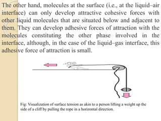 Fig: Visualization of surface tension as akin to a person lifting a weight up the
side of a cliff by pulling the rope in a horizontal direction.
The other hand, molecules at the surface (i.e., at the liquid–air
interface) can only develop attractive cohesive forces with
other liquid molecules that are situated below and adjacent to
them. They can develop adhesive forces of attraction with the
molecules constituting the other phase involved in the
interface, although, in the case of the liquid–gas interface, this
adhesive force of attraction is small.
 