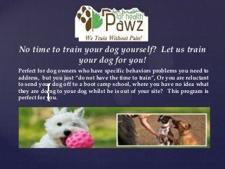 {
No time to train your dog yourself? Let us train
your dog for you!
Perfect for dog owners who have specific behaviors problems you need to
address, but you just “do not have the time to train”, Or you are reluctant
to send your dog off to a boot camp school, where you have no idea what
they are doing to your dog whilst he is out of your site? This program is
perfect for you.
 