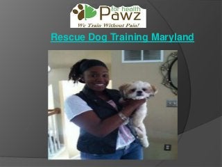 Rescue Dog Training Maryland
 