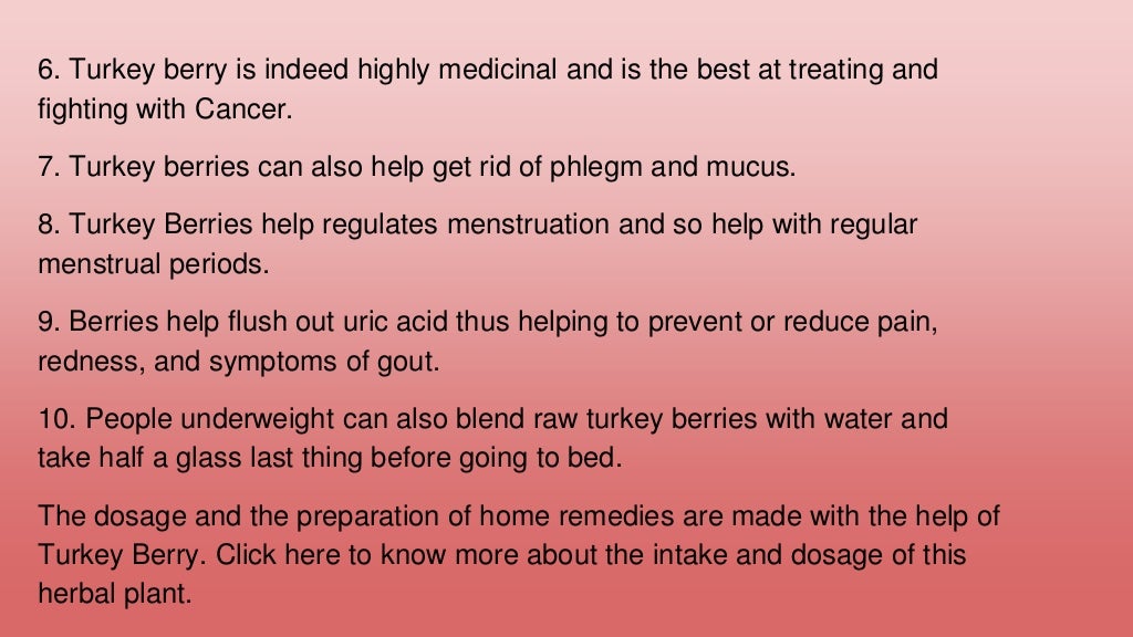 Health Benefits of Turkey Berry to Human Body Herbpathy