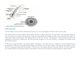 HAIR FOLLICLE
The hair follicle is the point from which the hair grows. It is a tiny cup-shaped pit buried in the fat of the scalp.
The terminal part of the hair follicle seated within the skin is called a hair bulb. The hair bulb is the structure formed by
actively growing cells. These cells produce the long, fine and cylindrically shaped hair fibers. Here in the hair bulb, there are
some special cells, which produce the pigment that gives the hair its color. This pigment is called melanin and the cells
producing it are known as melanocytes. We also know that receptors for the male hormones - androgens, are located on the
cells of this structure.
At the base of each hair bulb is the dermal papilla containing a vessel tuft. Thus, it is essential for the nourishment of the
growing hairs. Within the skin, internal and external root sheaths cover the hair follicles. The external root sheath of a hair
follicle is continuous along with the epidermis. There are also some glands adjacent to the hair follicles. The most important
one of these glands is the sebaceous gland, which produces and secretes the natural oils lubricating hairs, namely sebum.
 