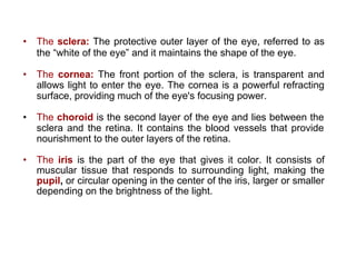• The sclera: The protective outer layer of the eye, referred to as
the “white of the eye” and it maintains the shape of the eye.
• The cornea: The front portion of the sclera, is transparent and
allows light to enter the eye. The cornea is a powerful refracting
surface, providing much of the eye's focusing power.
• The choroid is the second layer of the eye and lies between the
sclera and the retina. It contains the blood vessels that provide
nourishment to the outer layers of the retina.
• The iris is the part of the eye that gives it color. It consists of
muscular tissue that responds to surrounding light, making the
pupil, or circular opening in the center of the iris, larger or smaller
depending on the brightness of the light.
 
