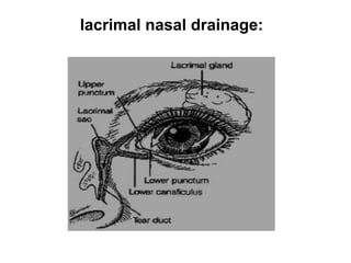 lacrimal nasal drainage:
 
