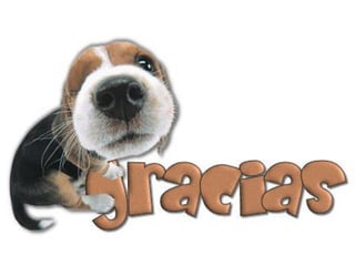 Pdf guia de ambientes y medios