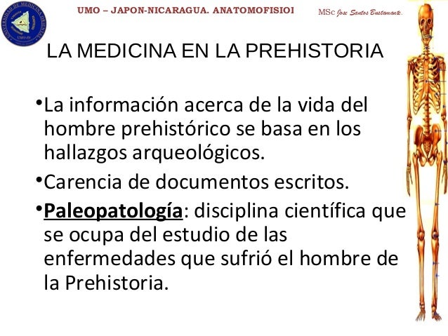 Evolucin de la Sociedad Humana