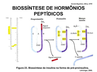 Nereide Magalhães, DBioq, UFPE



BIOSSÍNTESE DE HORMÔNIOS
        PEPTÍDICOS




 Figura 23. Biossíntese da insulina na forma de pré-proinsulina.
                                                            Lehninger, 2000.
 