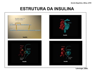 Nereide Magalhães, DBioq, UFPE




ESTRUTURA DA INSULINA




                          Lehninger, 2000.
 