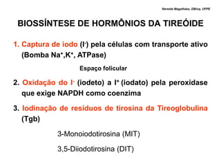 Nereide Magalhães, DBioq, UFPE




 BIOSSÍNTESE DE HORMÔNIOS DA TIREÓIDE

1. Captura de iodo (I-) pela células com transporte ativo
   (Bomba Na+,K+, ATPase)
                   Espaço folicular

2. Oxidação do I- (iodeto) a I+ (iodato) pela peroxidase
   que exige NAPDH como coenzima

3. Iodinação de resíduos de tirosina da Tireoglobulina
   (Tgb)

            3-Monoiodotirosina (MIT)

            3,5-Diiodotirosina (DIT)
 