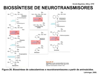 Nereide Magalhães, DBioq, UFPE


 BIOSSÍNTESE DE NEUROTRANSMISORES




Figura 26. Biossíntese de catecolaminas e neurotransmissores a partir de aminoácidos.
                                                                                Lehninger, 2000.
 