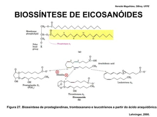 Nereide Magalhães, DBioq, UFPE



     BIOSSÍNTESE DE EICOSANÓIDES




Figura 27. Biossíntese de prostaglandinas, tromboxanano e leucotrienos a partir do ácido araquidônico.

                                                                                     Lehninger, 2000.
 