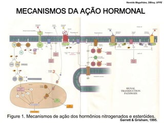 Nereide Magalhães, DBioq, UFPE



    MECANISMOS DA AÇÃO HORMONAL




Figure 1. Mecanismos de ação dos hormônios nitrogenados e esteróides.
                                                    Garrett & Grisham, 1995.
 