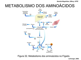 Nereide Magalhães, DBioq, UFPE


METABOLISMO DOS AMINOÁCIDOS




    Figura 32. Metabolismo dos aminoácidos no Fígado.
                                                        Lehninger, 2000.
 