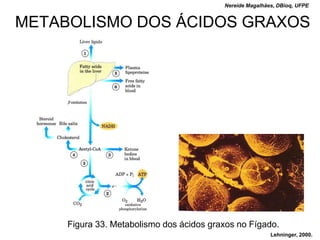 Nereide Magalhães, DBioq, UFPE


METABOLISMO DOS ÁCIDOS GRAXOS




     Figura 33. Metabolismo dos ácidos graxos no Fígado.
                                                          Lehninger, 2000.
 
