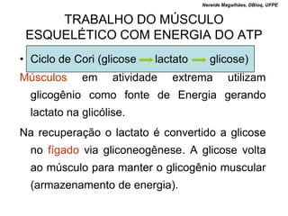 Nereide Magalhães, DBioq, UFPE


     TRABALHO DO MÚSCULO
 ESQUELÉTICO COM ENERGIA DO ATP
• Ciclo de Cori (glicose    lactato      glicose)
Músculos     em     atividade   extrema         utilizam
  glicogênio como fonte de Energia gerando
  lactato na glicólise.
Na recuperação o lactato é convertido a glicose
  no fígado via gliconeogênese. A glicose volta
  ao músculo para manter o glicogênio muscular
  (armazenamento de energia).
 