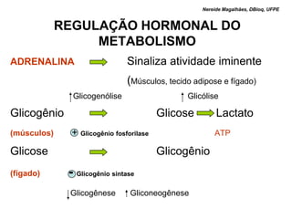 Nereide Magalhães, DBioq, UFPE


             REGULAÇÃO HORMONAL DO
                  METABOLISMO
ADRENALINA                        Sinaliza atividade iminente
                                  (Músculos, tecido adipose e fígado)
               Glicogenólise                      Glicólise

Glicogênio                                  Glicose        Lactato
(músculos)     +   Glicogênio fosforilase                 ATP

Glicose                                     Glicogênio
(fígado)      - Glicogênio sintase
              Glicogênese          Gliconeogênese
 