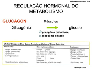 Nereide Magalhães, DBioq, UFPE



   REGULAÇÃO HORMONAL DO
        METABOLISMO

GLUCAGON           Músculos

   Glicogênio                              glicose
                + glicogênio fosforilase
                - glicogênio sintase




                                                Lehninger, 2000.
 