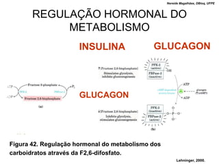 Nereide Magalhães, DBioq, UFPE



       REGULAÇÃO HORMONAL DO
            METABOLISMO
                      INSULINA               GLUCAGON



                      GLUCAGON




Figura 42. Regulação hormonal do metabolismo dos
carboidratos através da F2,6-difosfato.
                                                        Lehninger, 2000.
 